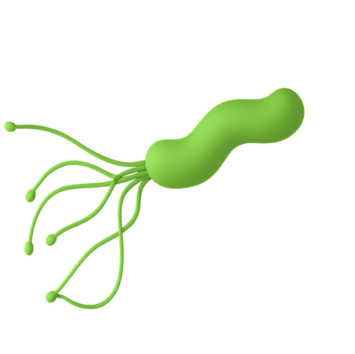 Хеликобактер пилори