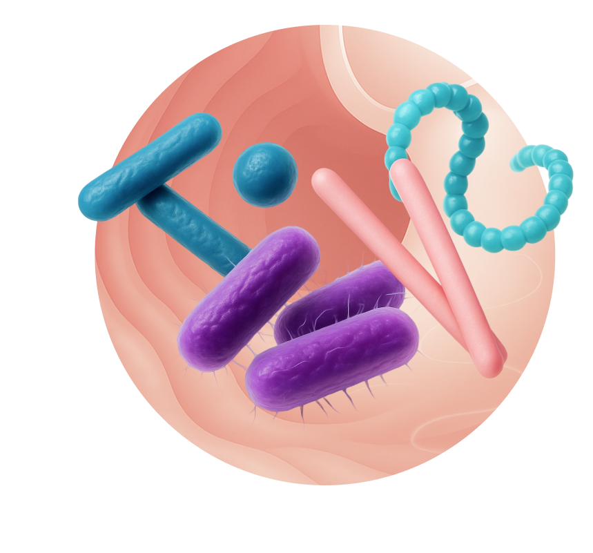 Иллюстрация к элементу 