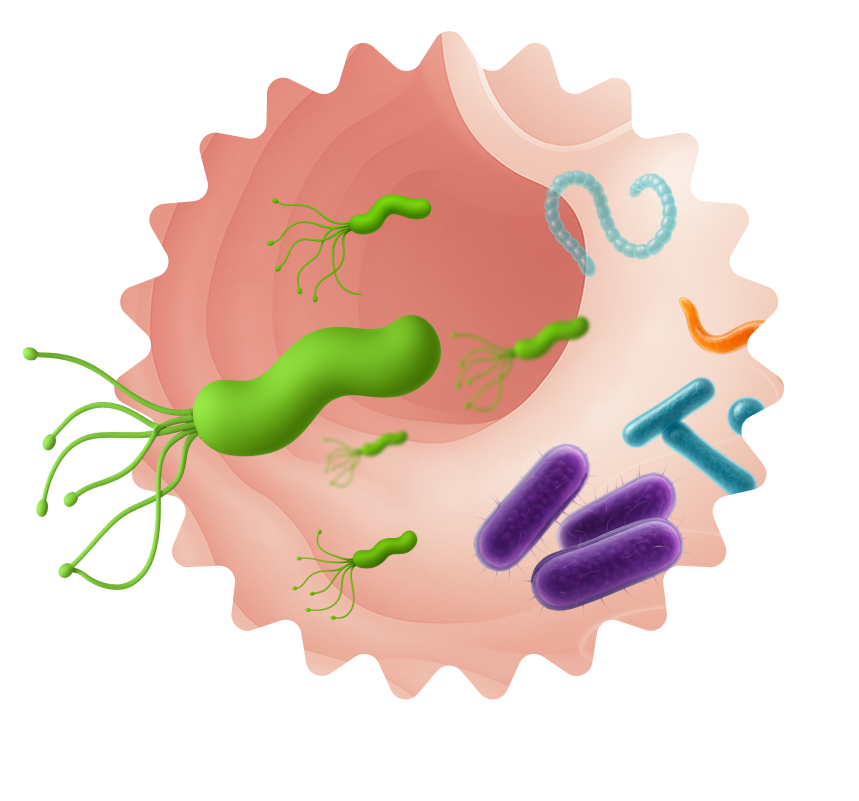 Иллюстрация к элементу 