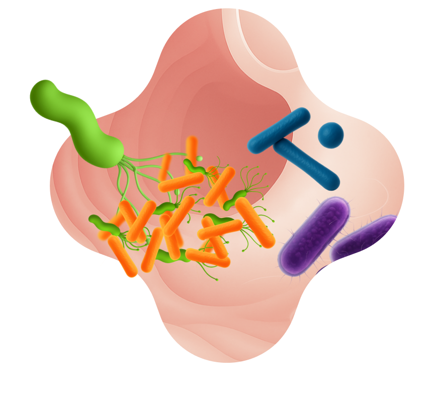 Иллюстрация к элементу 