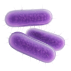 Изображение бактероидеты
